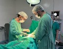 Hospital de Patos realizou 41 cirurgias no carnaval, sendo 23 delas de urgência.jpg