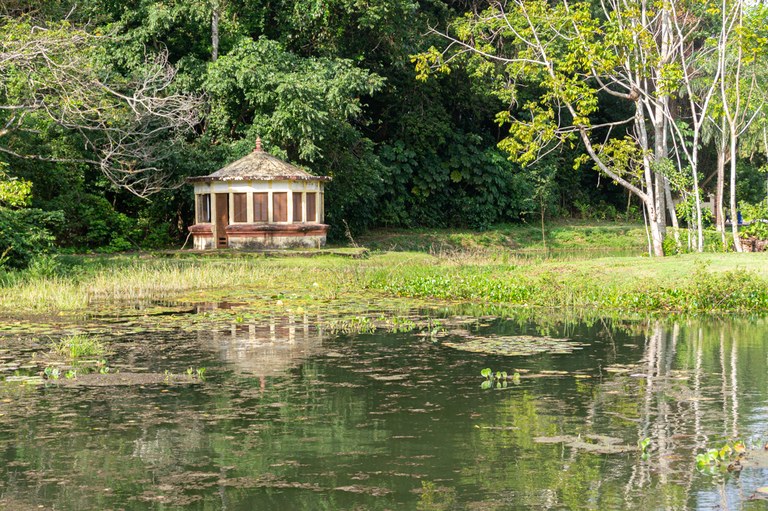 JARDIM-BOTANICO_2024ago14_003_FERNANDA-EGGERS.jpg