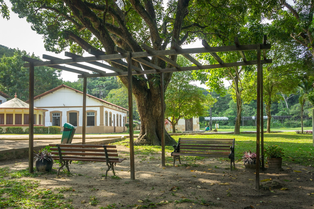 JARDIM-BOTANICO_2024ago14_013_FERNANDA-EGGERS.jpg