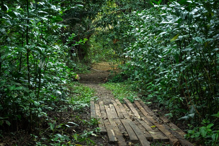 Foto: Reprodução/Secom Paraíba