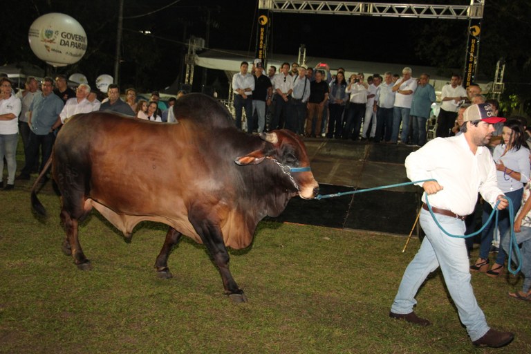 Abertura da Expofeira Paraiba Agronegocio foto francisco frança (17).JPG