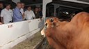 Abertura da Expofeira Paraiba Agronegocio foto francisco frança (5).jpg