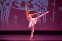 Ballet Suellen Caroline 1.jpg