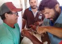 29_10_19 Paraíba libera produção de leite de cabra (3).jpg