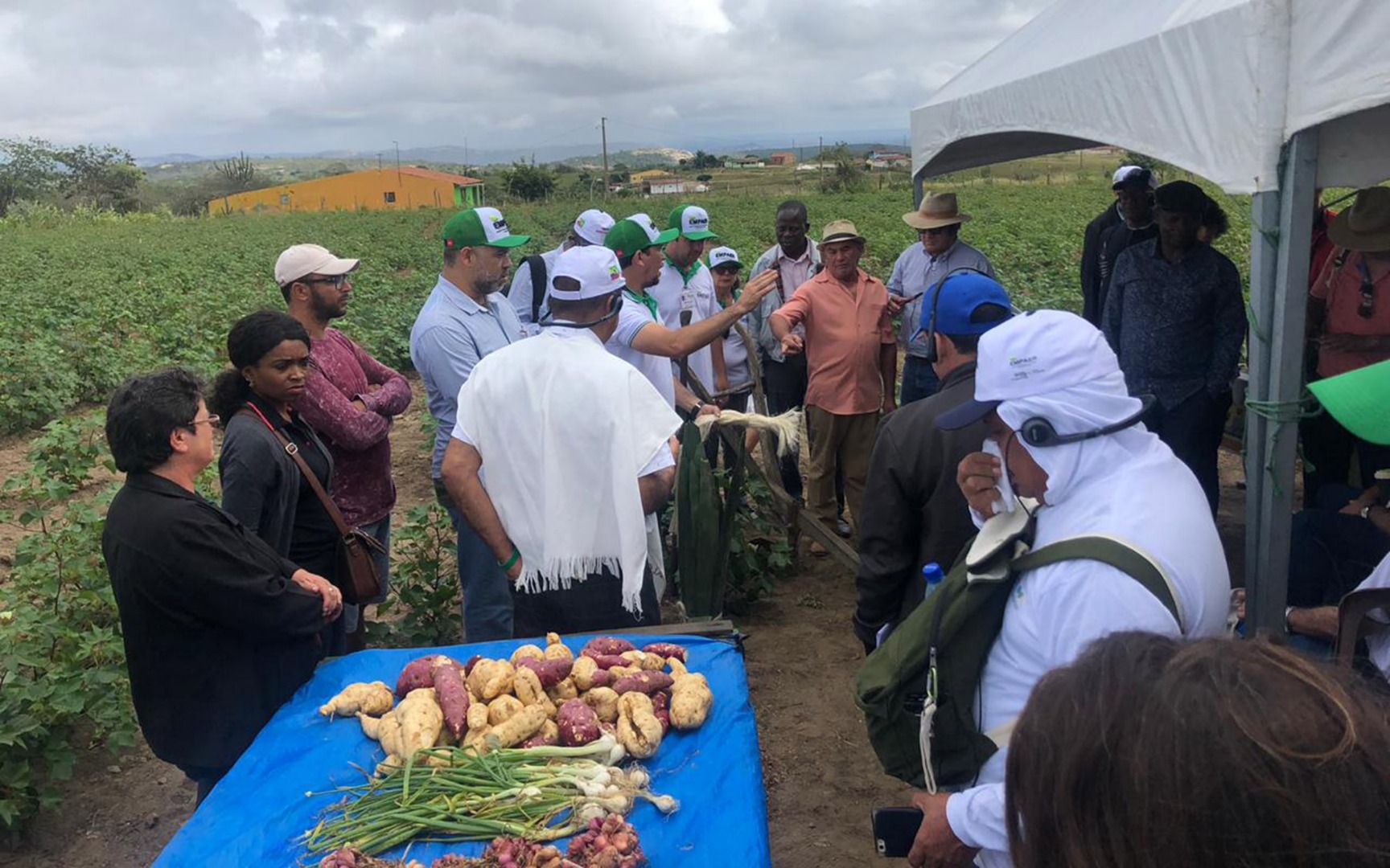 empaer trabalhos com algodao e melhoramento genetico bovino impressionam missao mocambique e colombia (5).jpg