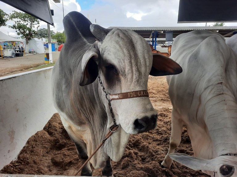 Foto: Reprodução/Secom Paraíba