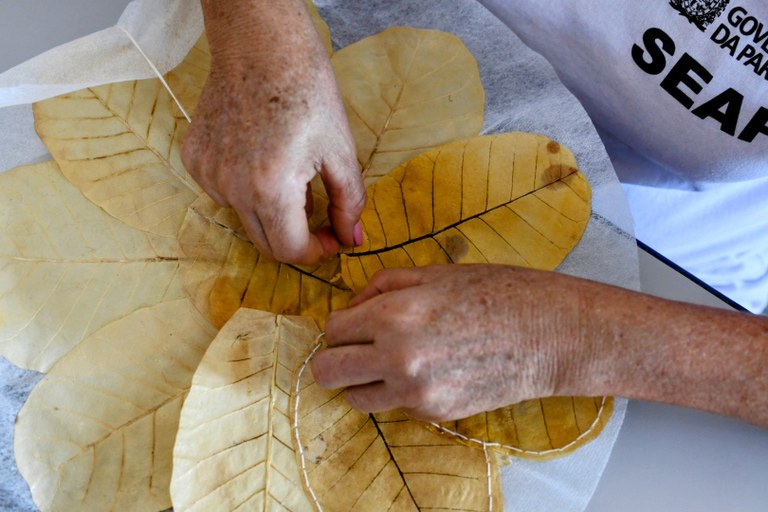 Foto: Reprodução/Secom Paraíba