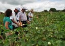 06_09_19 Produção de algodão sustentável na Paraíba chama a atenção de missão de estrangeiros (1).JPG