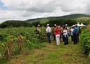 06_09_19 Produção de algodão sustentável na Paraíba chama a atenção de missão de estrangeiros (3).JPG