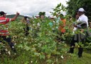 06_09_19 Produção de algodão sustentável na Paraíba chama a atenção de missão de estrangeiros (4).JPG