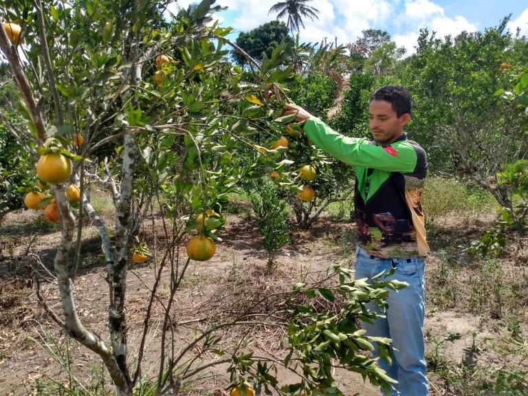 Foto: Reprodução/Secom Paraíba