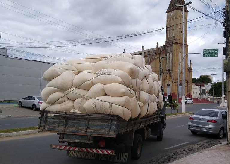 22_08_19 Produtores concluem colheita de algodão na região de Catolé do Rocha (1).jpg