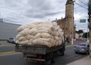 22_08_19 Produtores concluem colheita de algodão na região de Catolé do Rocha (1).jpg