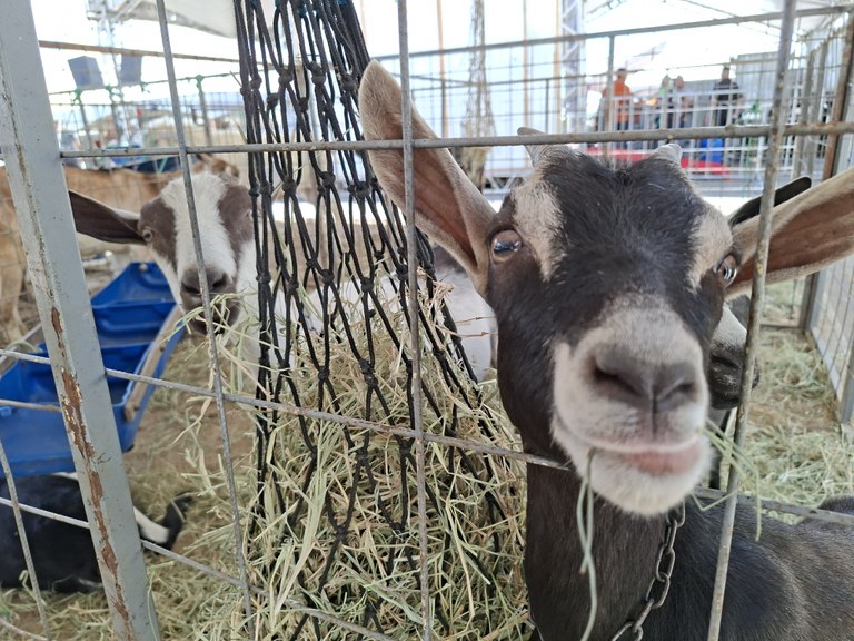 Foto: Reprodução/Secom Paraíba