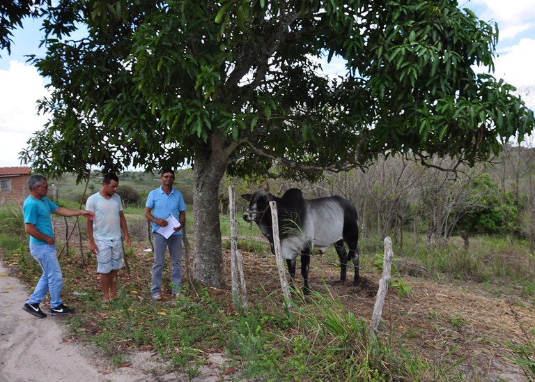 06_03_2020 Agricultores exibem com satisfação título de posse de terras concedido pelo governo (4).JPG