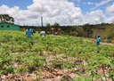 06_03_2020 Agricultores exibem com satisfação título de posse de terras concedido pelo governo (5).JPG