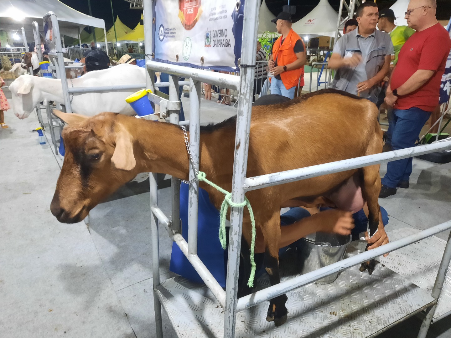 Torneio Leiteiro - Gurjão - Bode na Rua.jpg