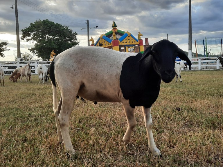 Foto: Reprodução/Secom Paraíba