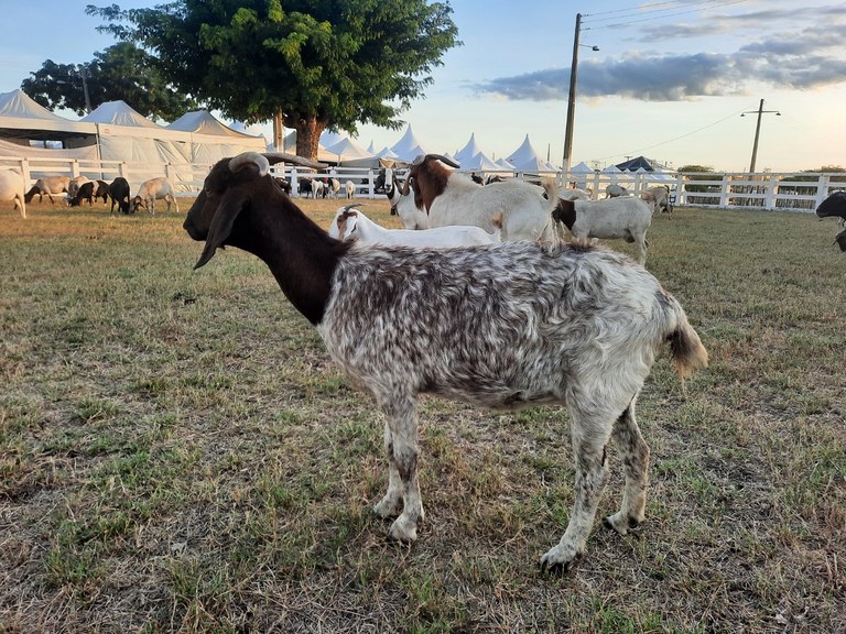Foto: Reprodução/Secom Paraíba