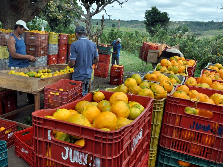 Foto: Reprodução/Secom Paraíba