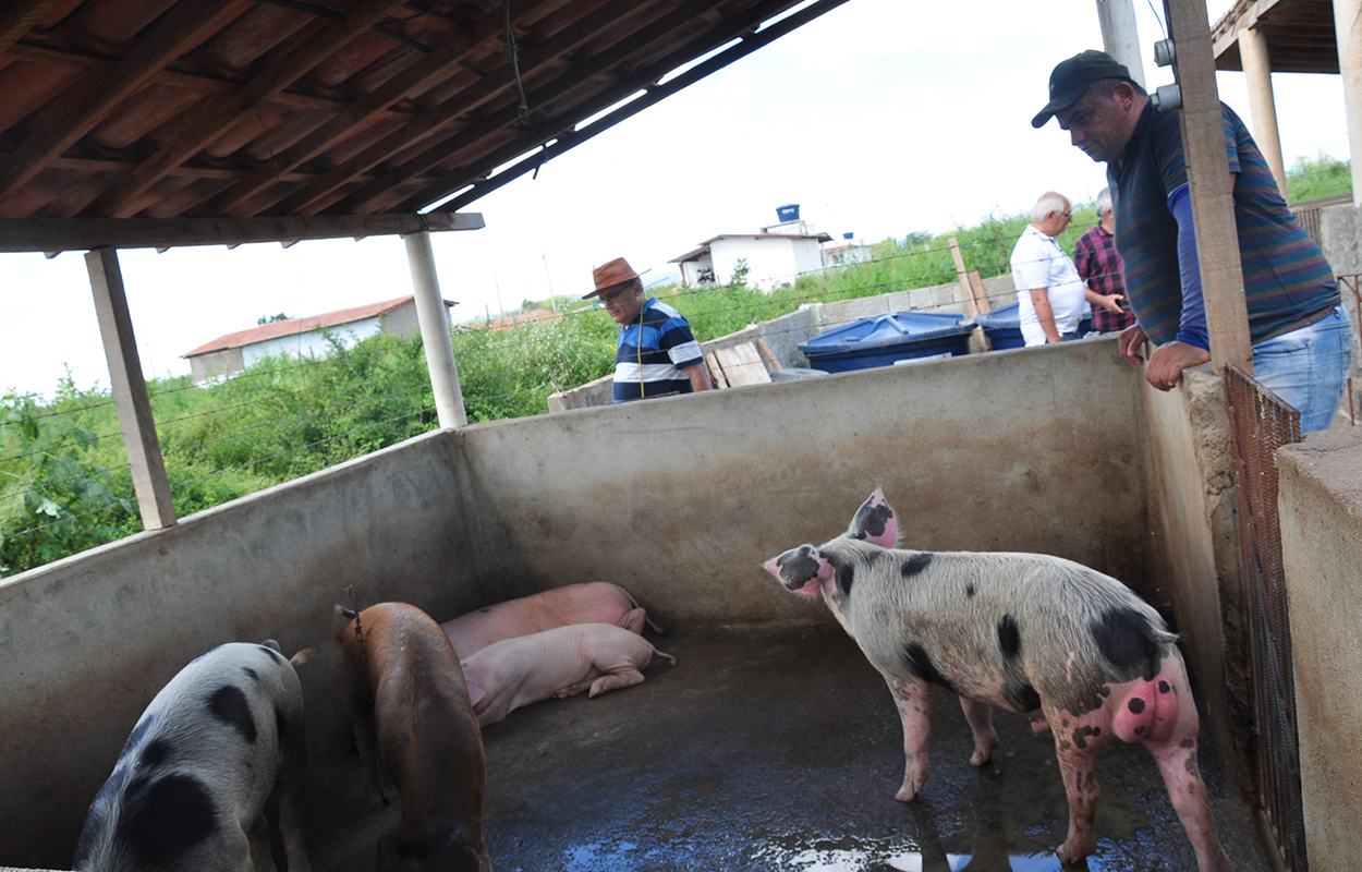 projeto Dom Helder tira da pobreza 2704 familias na PB (1).JPG