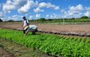 projeto Dom Helder tira da pobreza 2704 familias na PB (3).JPG