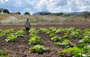 projeto Dom Helder tira da pobreza 2704 familias na PB (4).JPG