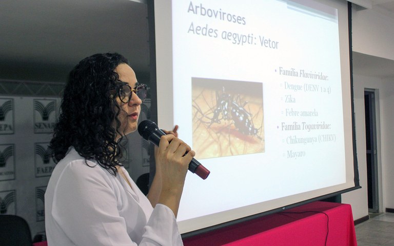 ses seminario de combate a dengue zika e chikungunya (1).jpeg