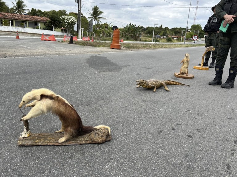 Foto: Reprodução/Secom Paraíba