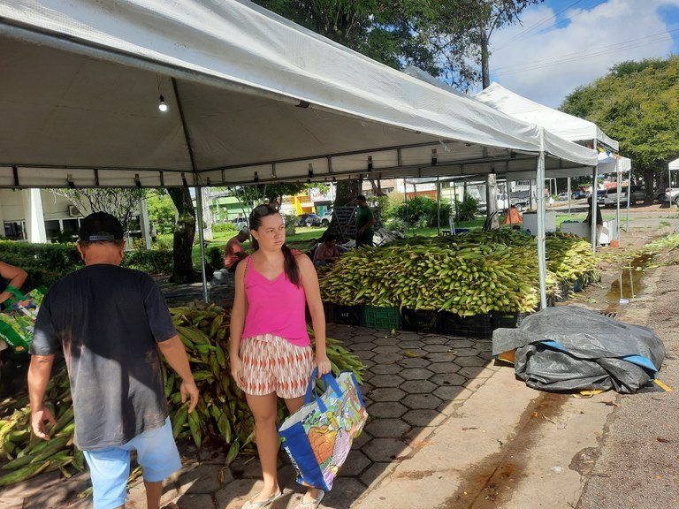 Venda de milho Empasa.jpg